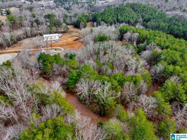 1705 HAGOOD MTN ROAD, Morris, AL 35116