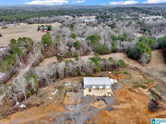 1705 HAGOOD MTN ROAD, Morris, AL 35116