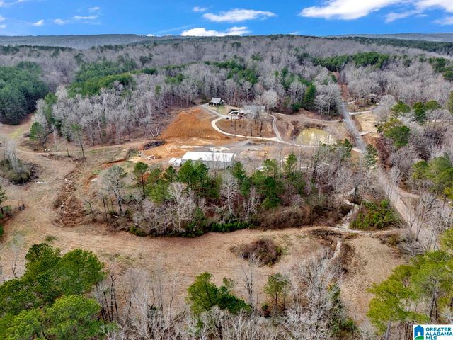 1705 HAGOOD MTN ROAD, Morris, AL 35116