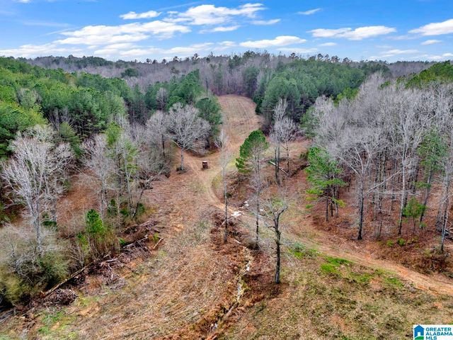 1705 HAGOOD MTN ROAD, Morris, AL 35116