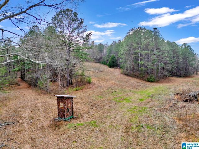 1705 HAGOOD MTN ROAD, Morris, AL 35116