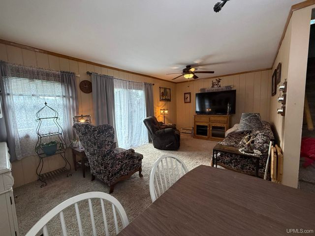 11587 N Black River Road, Bessemer, MI 49911