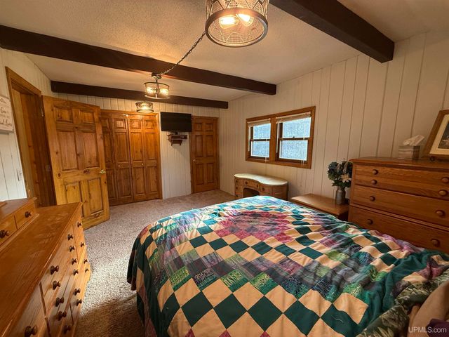 11587 N Black River Road, Bessemer, MI 49911