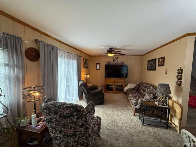 11587 N Black River Road, Bessemer, MI 49911