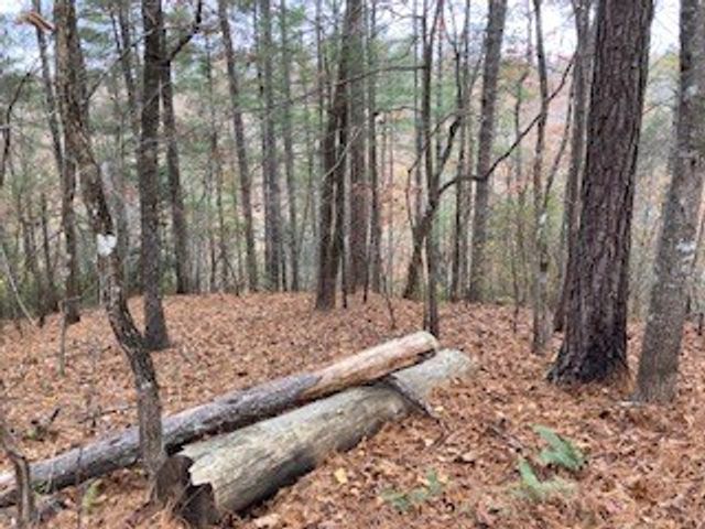 Lot 1375 Lyric Lane, Ellijay, GA 30540