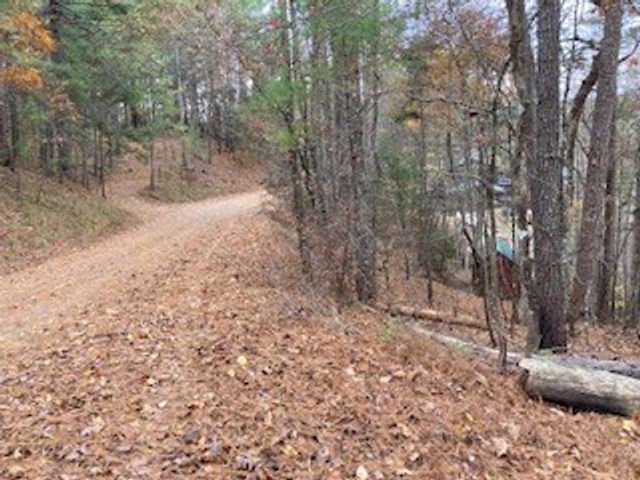 Lot 1375 Lyric Lane, Ellijay, GA 30540