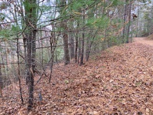 Lot 1375 Lyric Lane, Ellijay, GA 30540