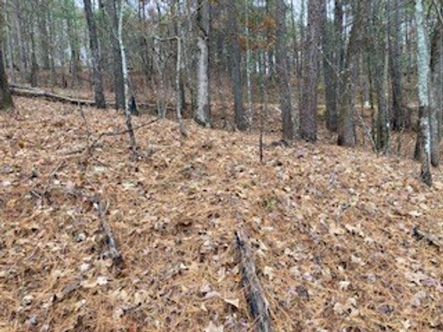 Lot 1375 Lyric Lane, Ellijay, GA 30540