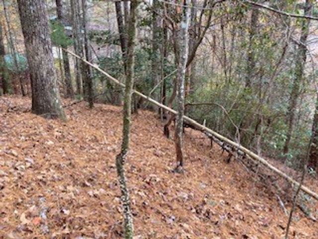 Lot 1375 Lyric Lane, Ellijay, GA 30540