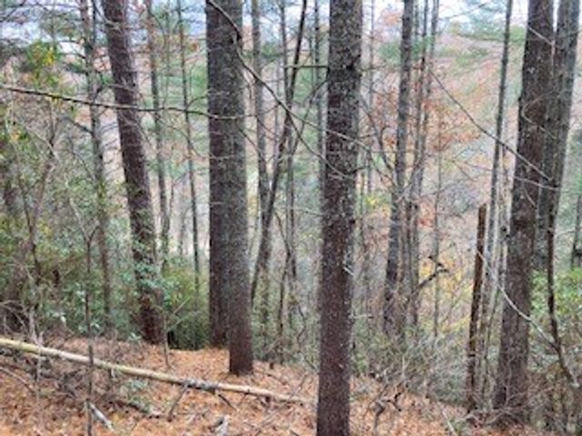 Lot 1375 Lyric Lane, Ellijay, GA 30540