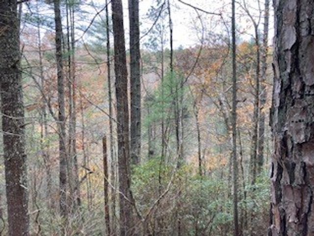 Lot 1375 Lyric Lane, Ellijay, GA 30540