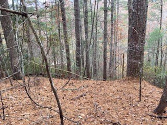 Lot 1375 Lyric Lane, Ellijay, GA 30540