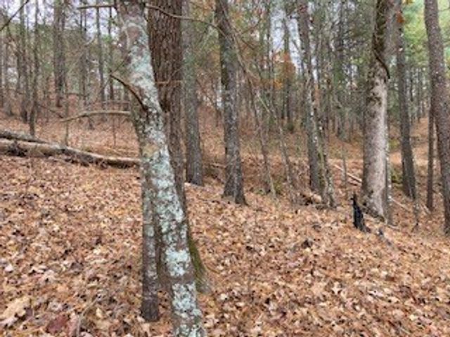Lot 1375 Lyric Lane, Ellijay, GA 30540