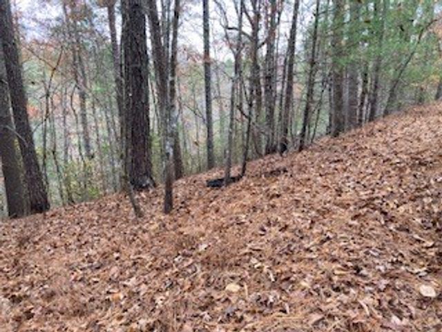 Lot 1375 Lyric Lane, Ellijay, GA 30540