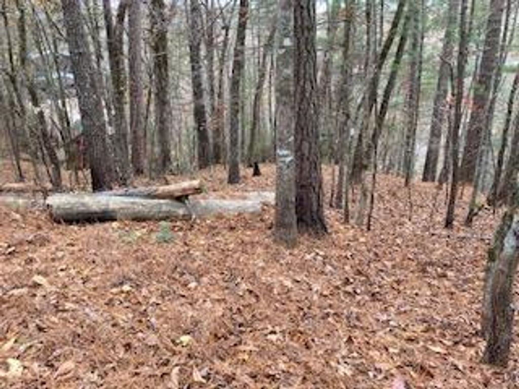 Lot 1375 Lyric Lane, Ellijay, GA 30540