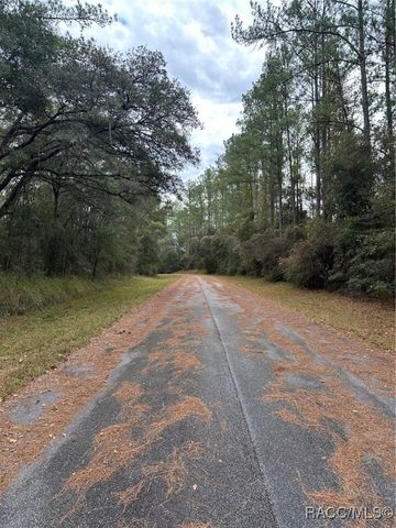 8107 N Floyd Point, Dunnellon, FL 34434