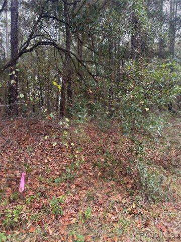 8107 N Floyd Point, Dunnellon, FL 34434