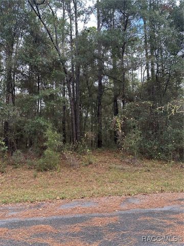 8107 N Floyd Point, Dunnellon, FL 34434