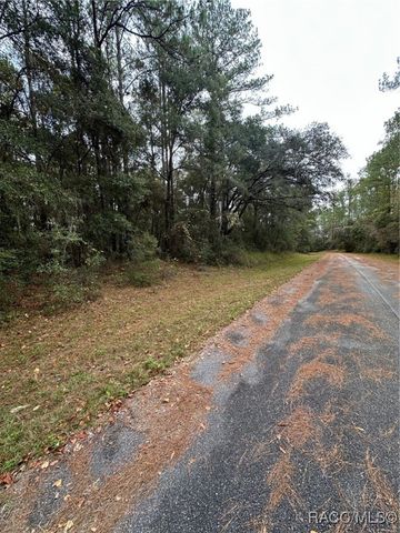 8107 N Floyd Point, Dunnellon, FL 34434