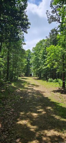 40220 Reece Creek Rd, Bigelow, AR 72016