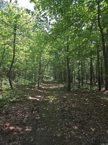 40220 Reece Creek Rd, Bigelow, AR 72016