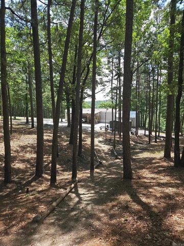 40220 Reece Creek Rd, Bigelow, AR 72016