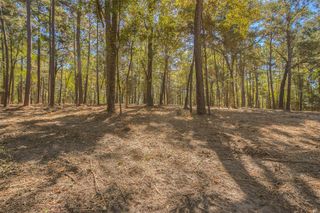 TBD Frank Cloud Road, Huntsville, TX 77320