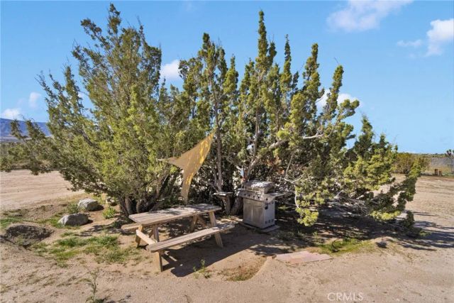 11788 Oasis, Pinon Hills, CA 92372