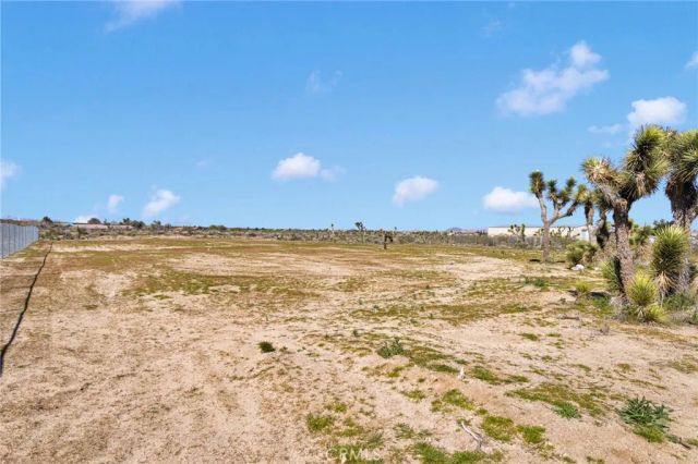 11788 Oasis, Pinon Hills, CA 92372