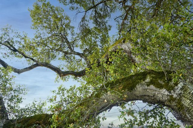 208 Ursuline Rd, Santa Rosa, CA 95403