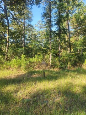 4427 Wynne Way, Montgomery, TX 77316