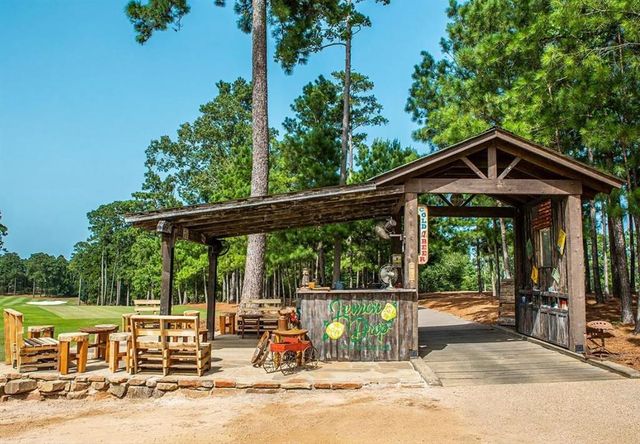 4427 Wynne Way, Montgomery, TX 77316