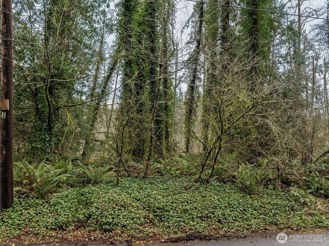 32621 Benbow Drive E, Graham, WA 98338