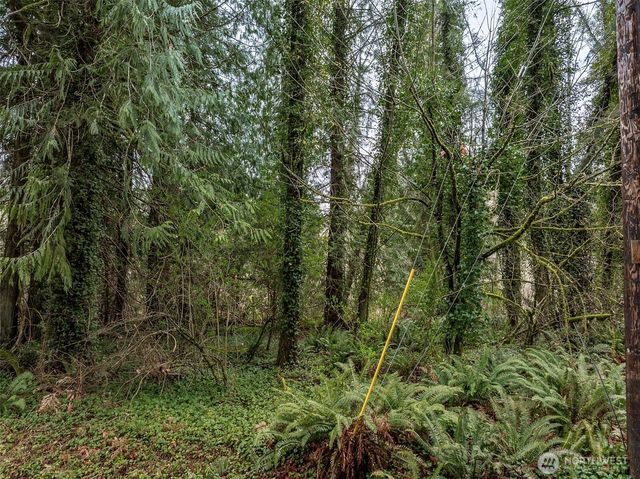32621 Benbow Drive E, Graham, WA 98338