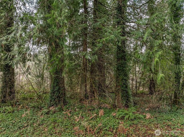 32621 Benbow Drive E, Graham, WA 98338