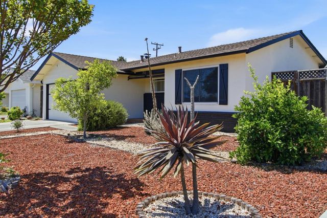 703 Laurie Avenue, Santa Clara, CA 95054