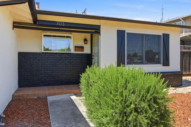 703 Laurie Avenue, Santa Clara, CA 95054