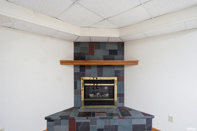 2006 W BRISTOL HOLLOW Road, Dunlap, IL 61525