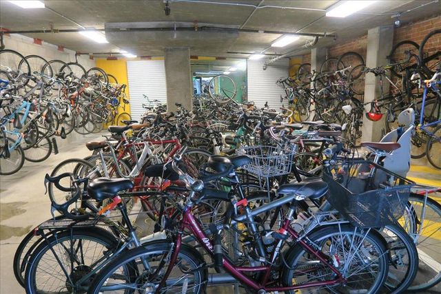 88 Bush Street 3158, San Jose, CA 95126