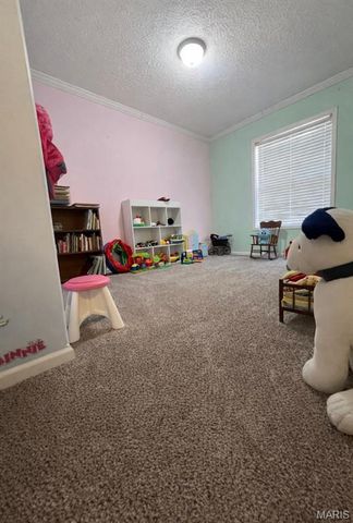 2977 Ripley Route A, Doniphan, MO 63935