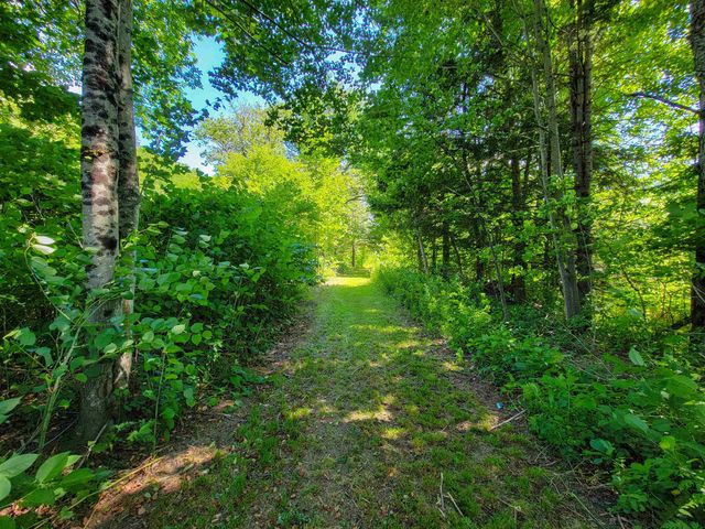 22 Lemery Road, Braintree, VT 05060