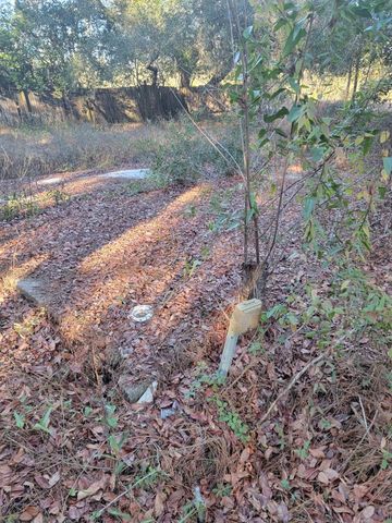 107 LAKEVIEW WAY, Interlachen, FL 32148