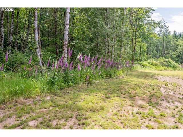 1013 N BODINE Rd, Kelso, WA 98626