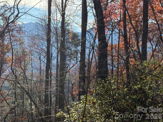 0000 Halls Chapel Road, Burnsville, NC 28714