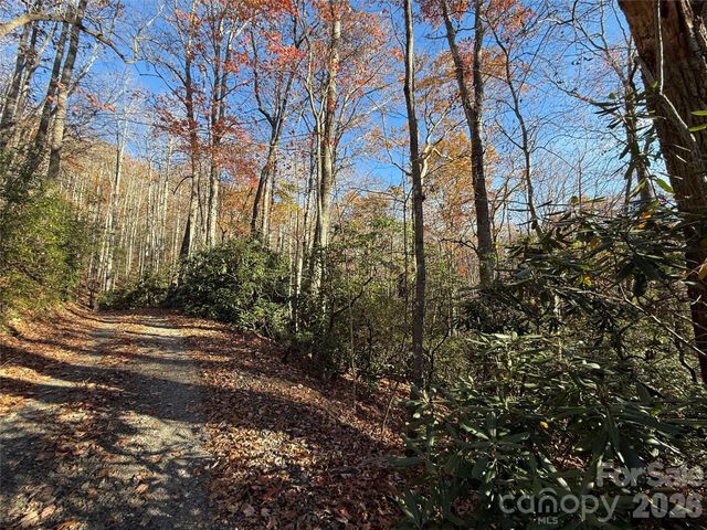 0000 Halls Chapel Road, Burnsville, NC 28714