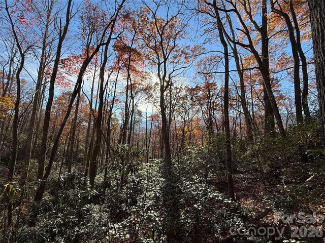0000 Halls Chapel Road, Burnsville, NC 28714