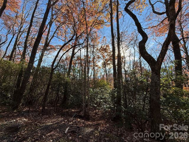 0000 Halls Chapel Road, Burnsville, NC 28714
