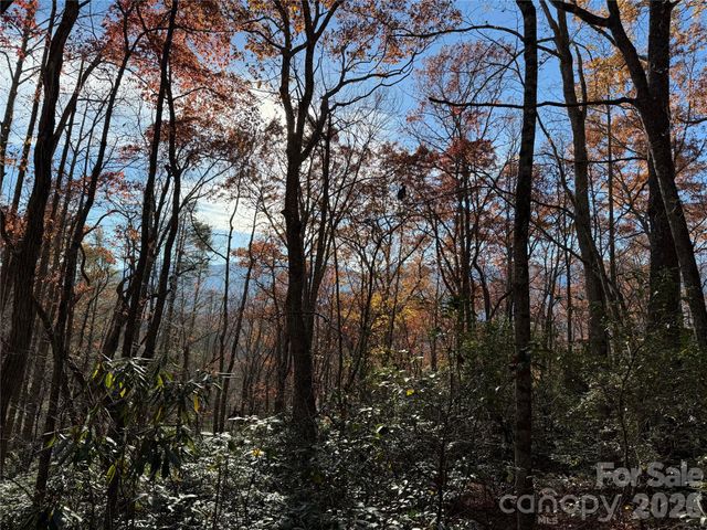 0000 Halls Chapel Road, Burnsville, NC 28714