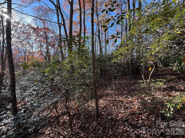 0000 Halls Chapel Road, Burnsville, NC 28714