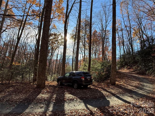 0000 Halls Chapel Road, Burnsville, NC 28714